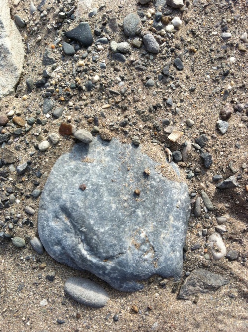 Mom spotted this smiling rock right as we walked on the beach